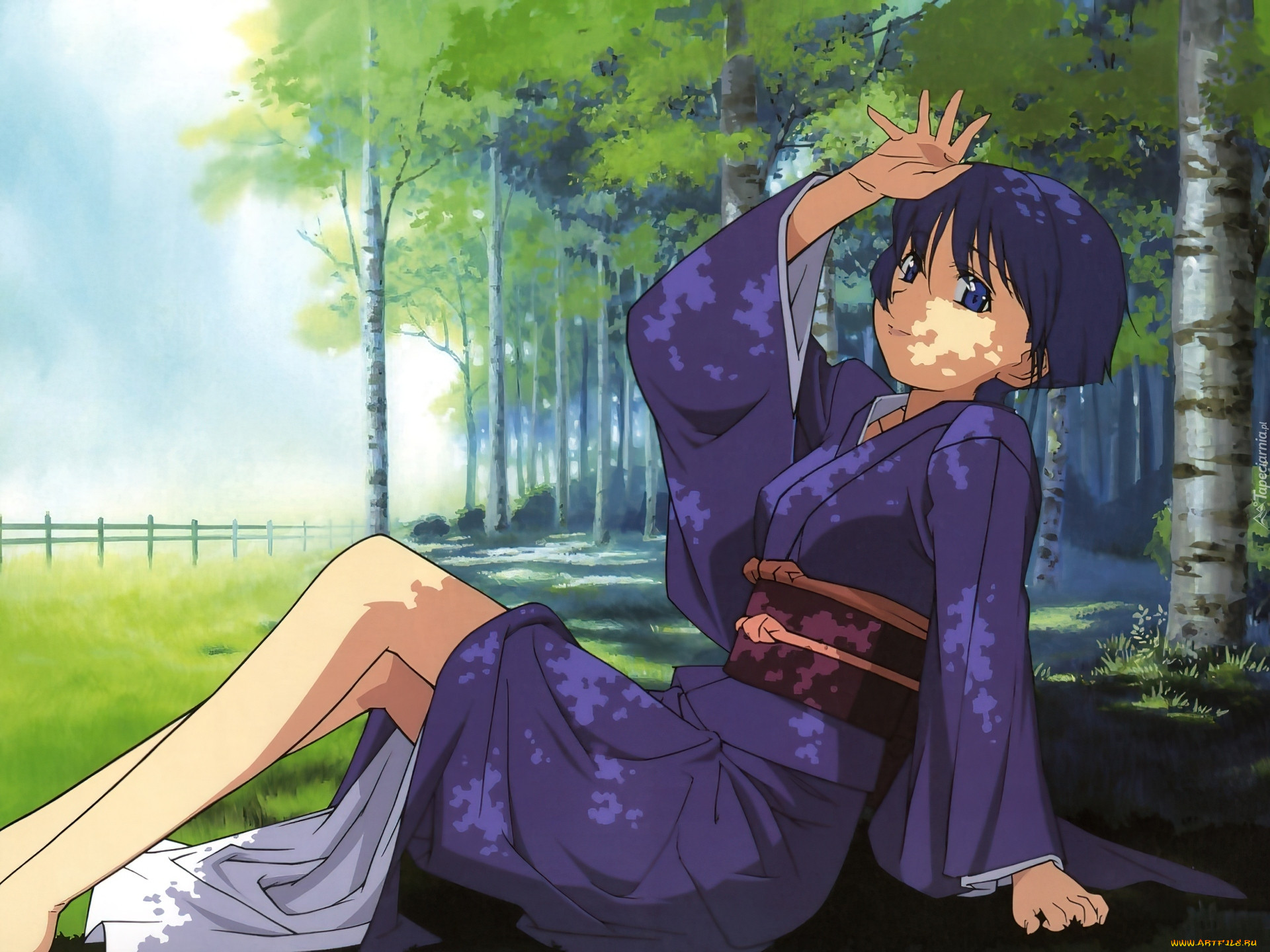 , ai yori aoshi, , 